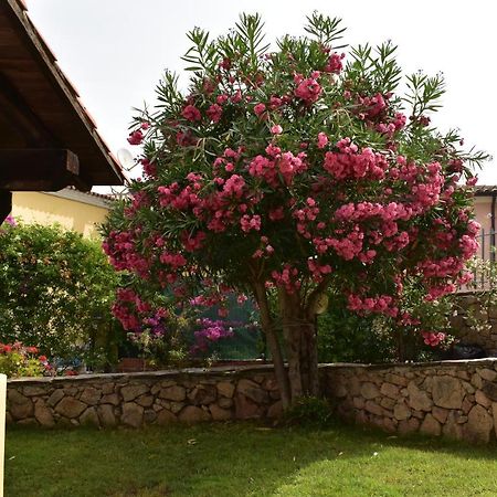 Splendida Villetta Tavolara 1 Vaccileddi Eksteriør billede