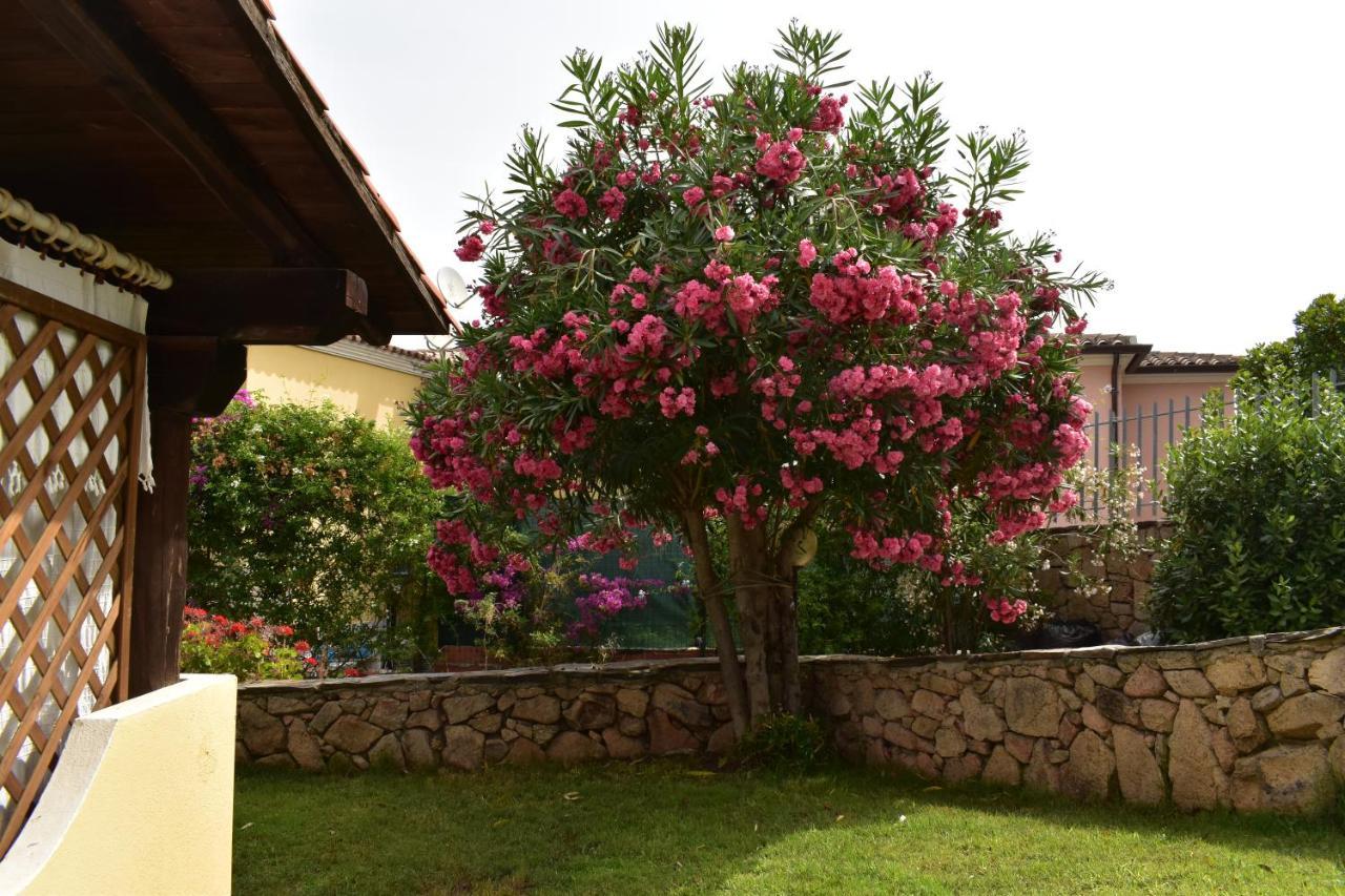 Splendida Villetta Tavolara 1 Vaccileddi Eksteriør billede