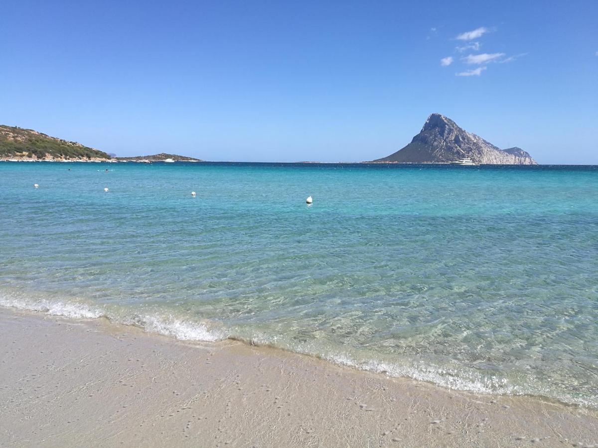 Splendida Villetta Tavolara 1 Vaccileddi Eksteriør billede